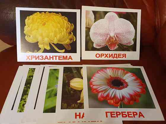 Карточки Цветы 