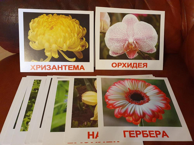 Карточки Цветы  - изображение 1