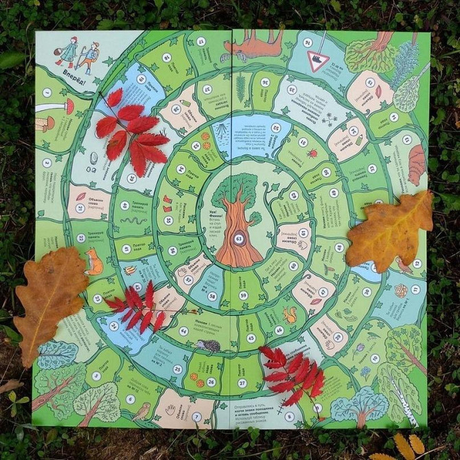 Настольная игра "Лесной тропой"  - изображение 4