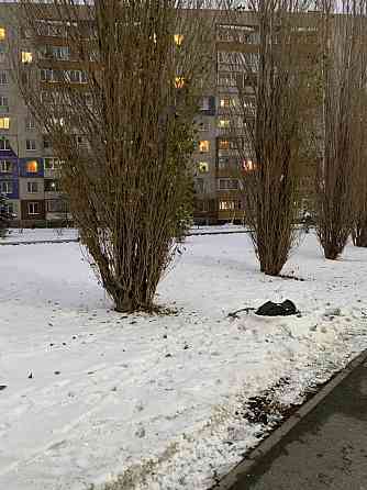 Открытая колода 