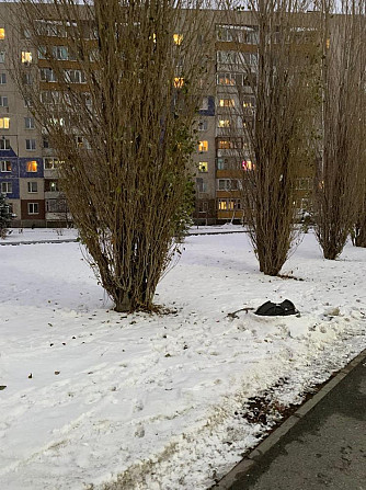 Открытая колода  - изображение 2