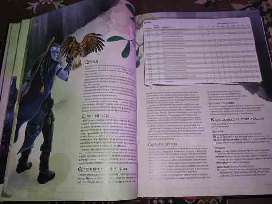 Dungeon of dragons книга игрока 