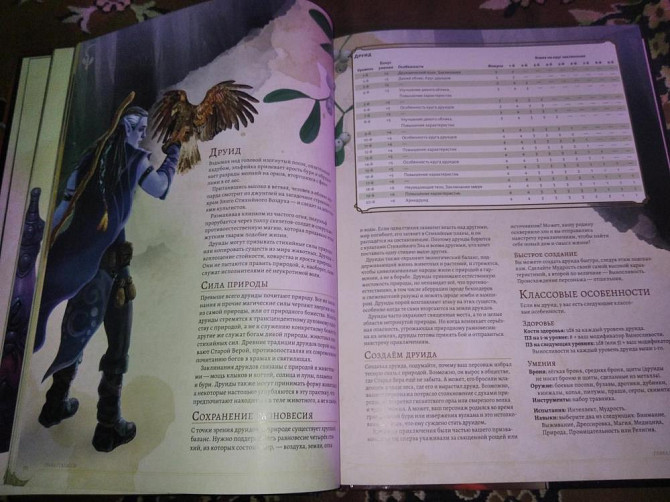 Dungeon of dragons книга игрока  - изображение 3