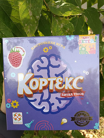 Игра Кортекс  - изображение 1