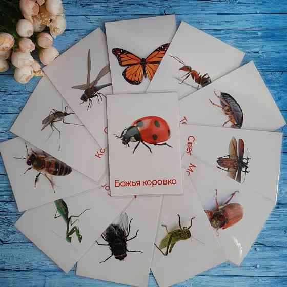 Карточки развитие речи 