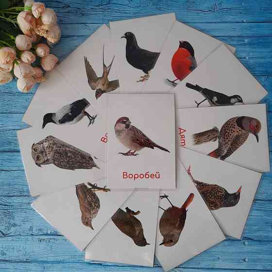 Карточки развитие речи 