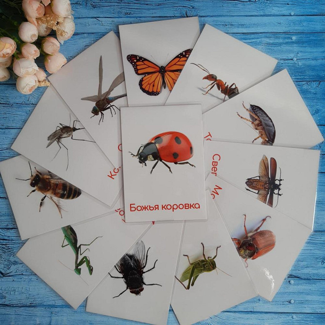 Карточки развитие речи  - изображение 4