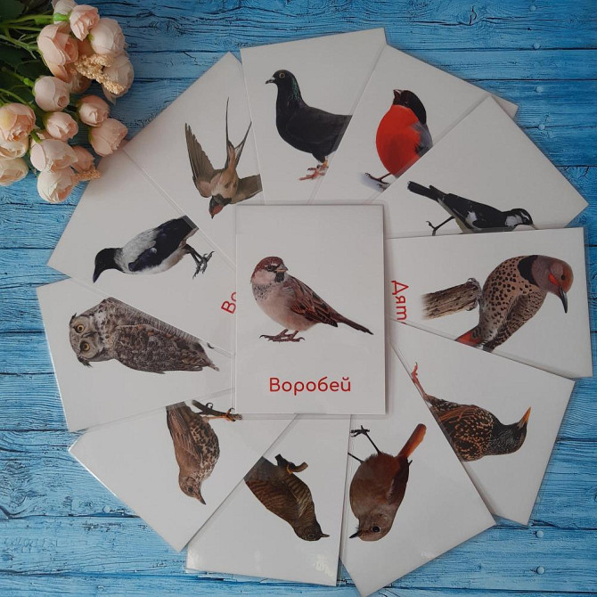 Карточки развитие речи  - изображение 2