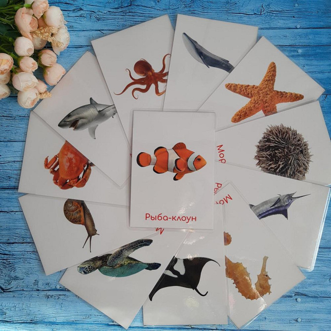 Карточки развитие речи  - изображение 3