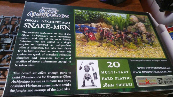Frostgrave ghost archipelago snake-men 28мм d&d  - изображение 2