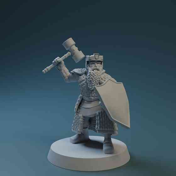 Дварф-воин с лёгким молотом и щитом 