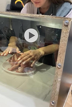 Игра «угадай что в коробке»  - изображение 4