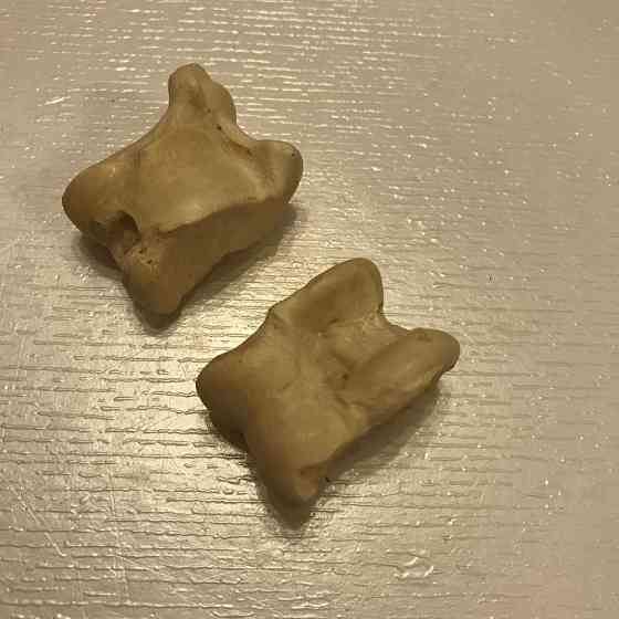 Подарочный набор костей для гадания 