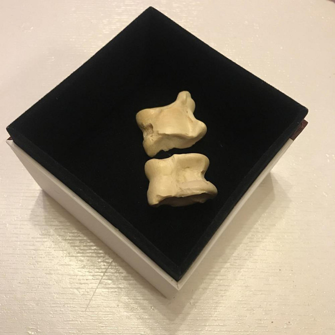 Подарочный набор костей для гадания  - изображение 1