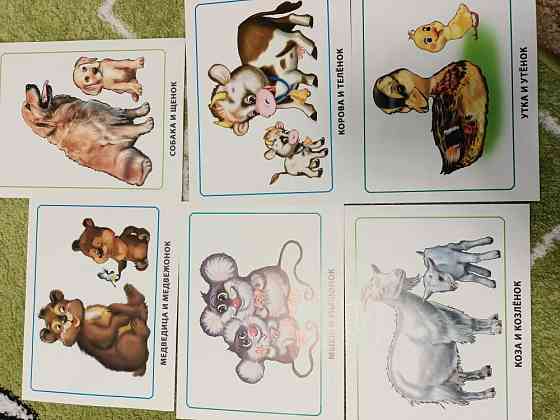 Развивающие карточки для детей 