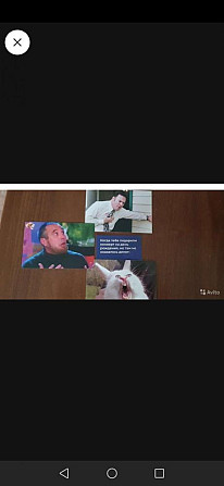 Что за мем  - изображение 3