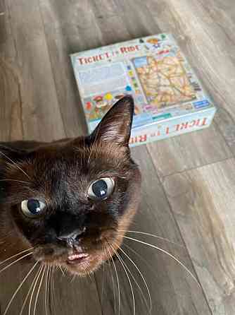 Ticket to Ride: Germany 