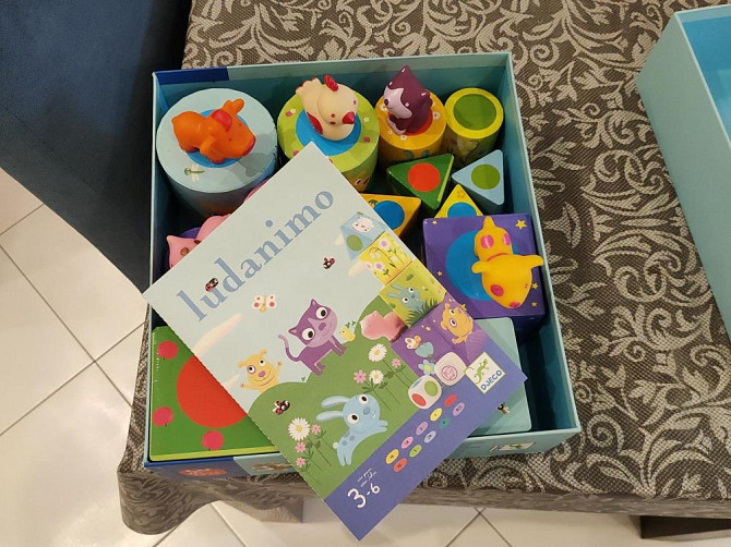 Игра Djeco Ludanimo (Djeco Люданимо)  - изображение 4