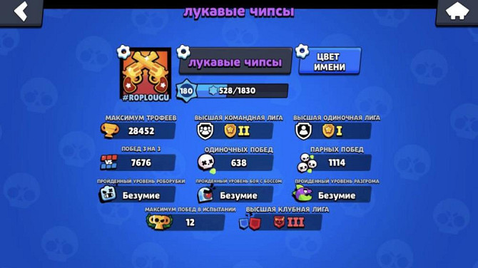 BS  - изображение 4