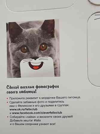 Карточки для забавных фото с котами 