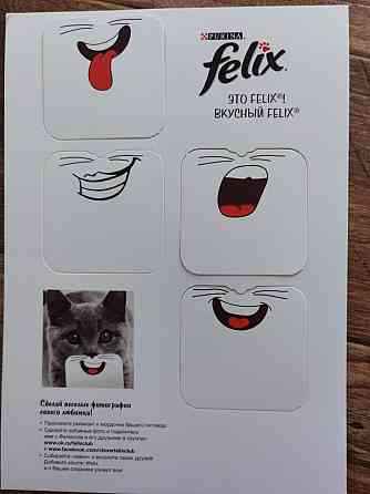 Карточки для забавных фото с котами 