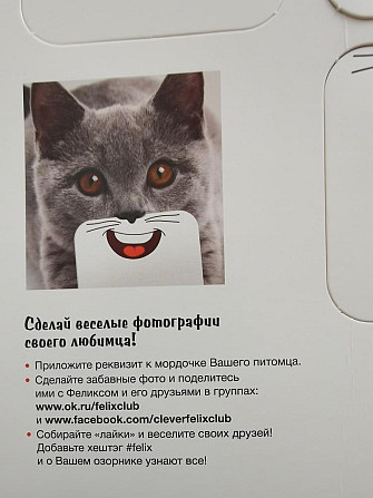 Карточки для забавных фото с котами  - изображение 2