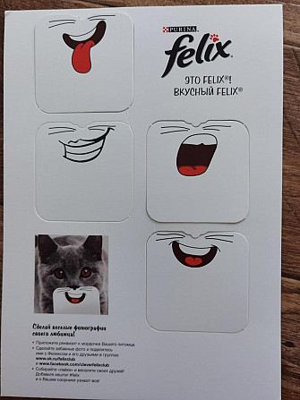 Карточки для забавных фото с котами  - изображение 1