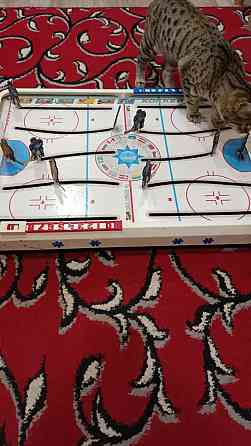 Хоккей игра 