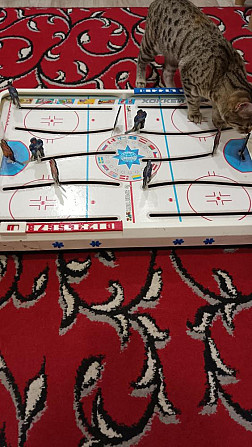 Хоккей игра  - изображение 1