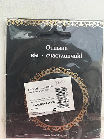 Талисман удачи монета  - изображение 2