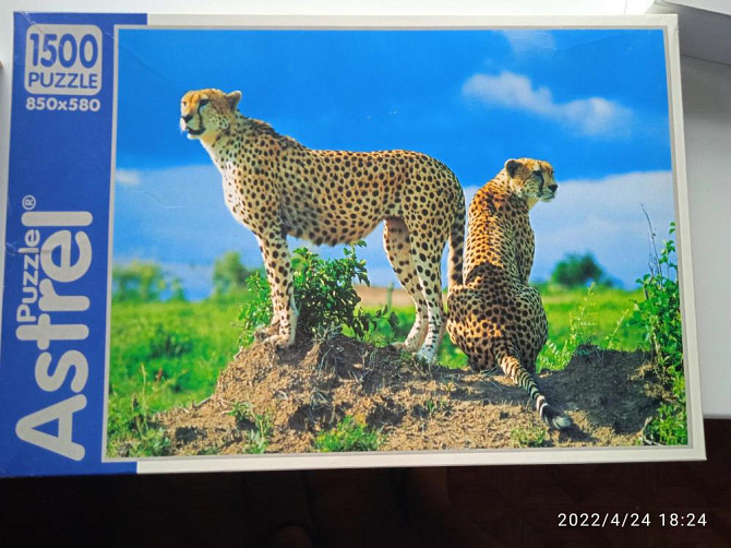 Мозаика "Гепарды"  - изображение 1