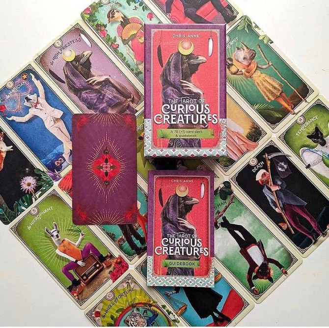 Tarot Curious Creatures - Таро Любопытных Существ  - изображение 1