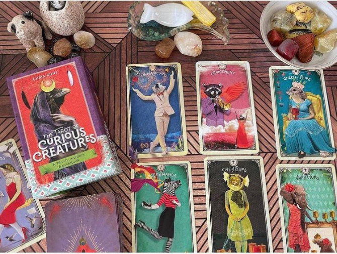 Tarot Curious Creatures - Таро Любопытных Существ  - изображение 2