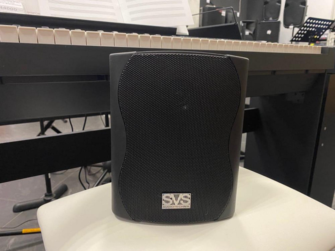 SVS Audiotechnik WS-20 громкоговоритель настенный  - изображение 1