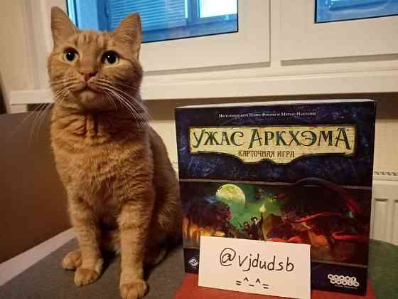 Диксит 
