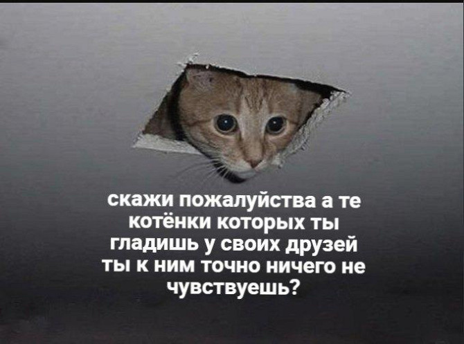Мемы  - изображение 1