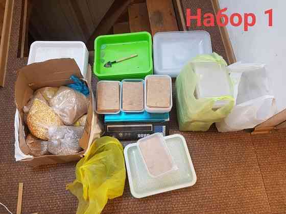 Кейс starter pack для хобби/бизнеса 