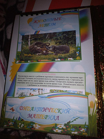 Лэпбук  - изображение 4