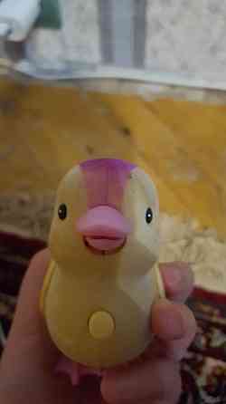 Говорящий утёнок 