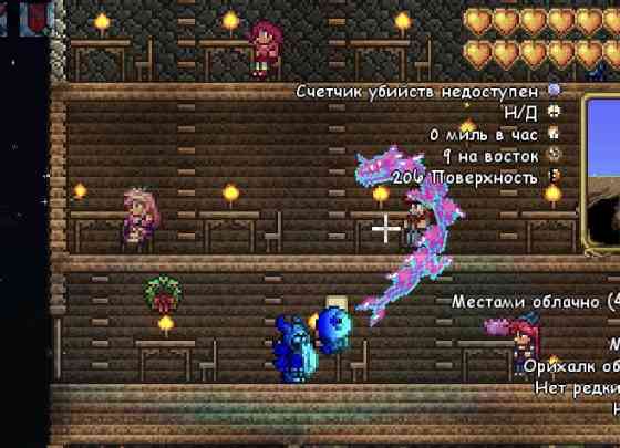 Вещи разработчика, Игра террария. 