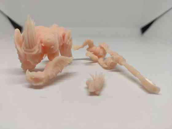 Группа наездников на крутоксах 