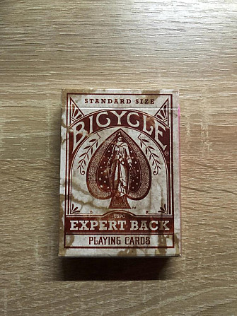 Bicycle Expert Back  - изображение 1