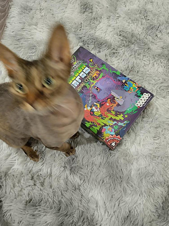 Эпичные схватки боевых магов  - изображение 1