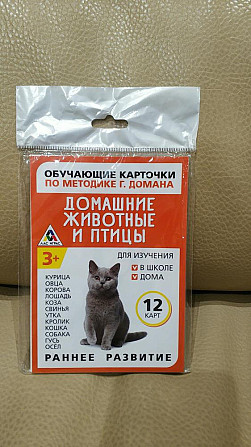 Обучающие карточки по методике Г. Домана  - изображение 4