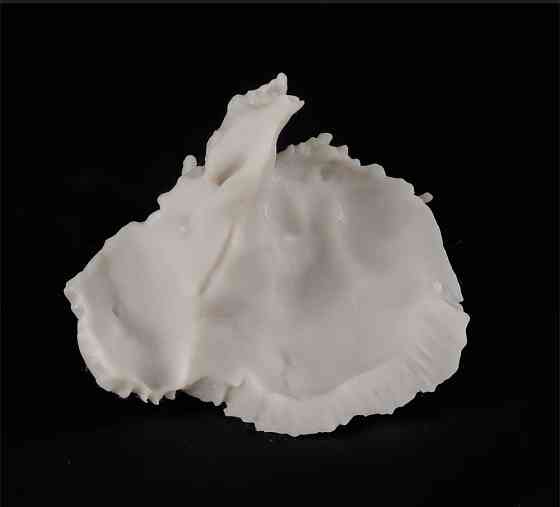 Кости черепа (височная и клиновидная) 