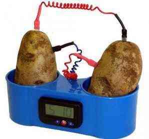 Часы фруктовые новые 