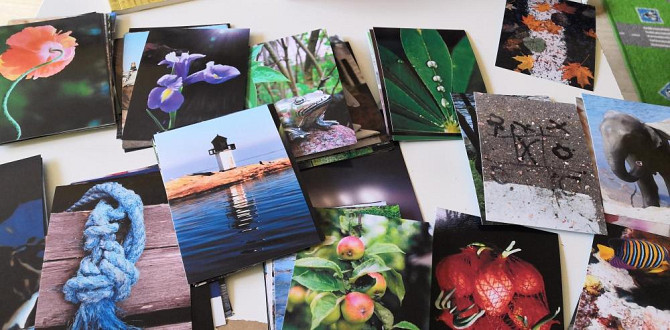 Спектрокарты  - изображение 2