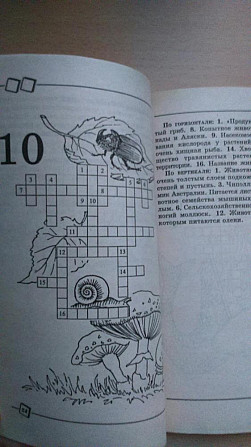 Кроссворды  - изображение 4