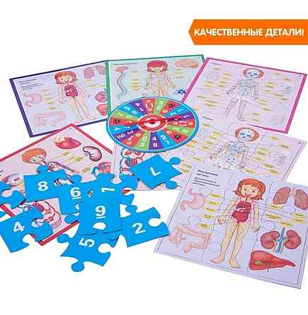 Настольная игра «Весёлая анатомия» 