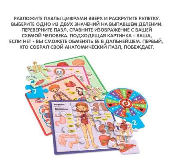 Настольная игра «Весёлая анатомия» 